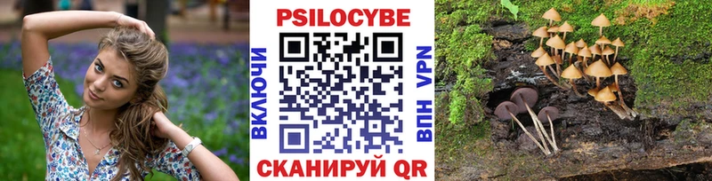 Псилоцибиновые грибы прущие грибы  Боровичи 